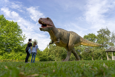 Freier Eintritt für Kinder vom 17. bis 26. Oktober im Dinopark Agrarium in Steinerkirchen