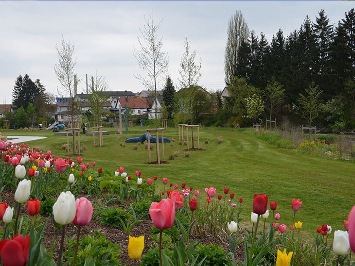 Kremsmünster Kremsschanze Spielplatz Übersicht