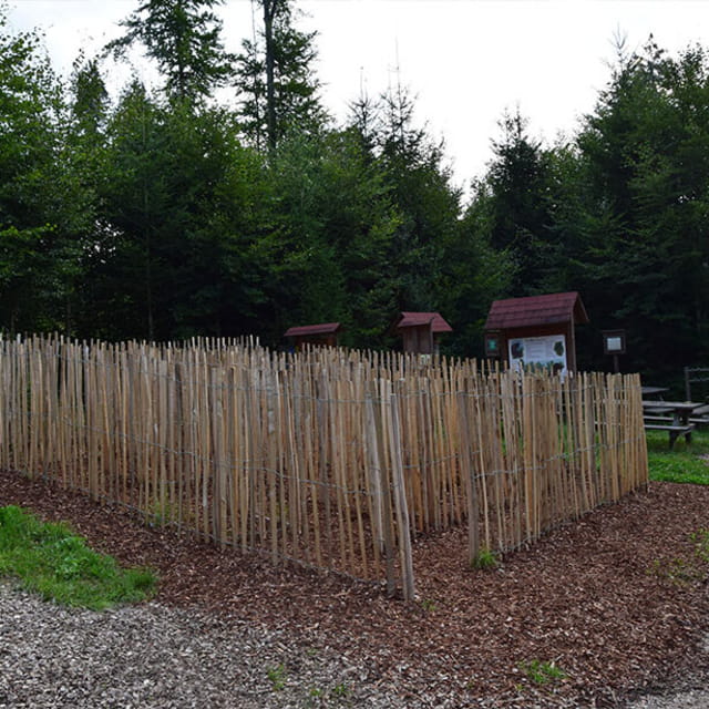 Foto von Spielplatz Vöcklabruck, Pfarrerwald