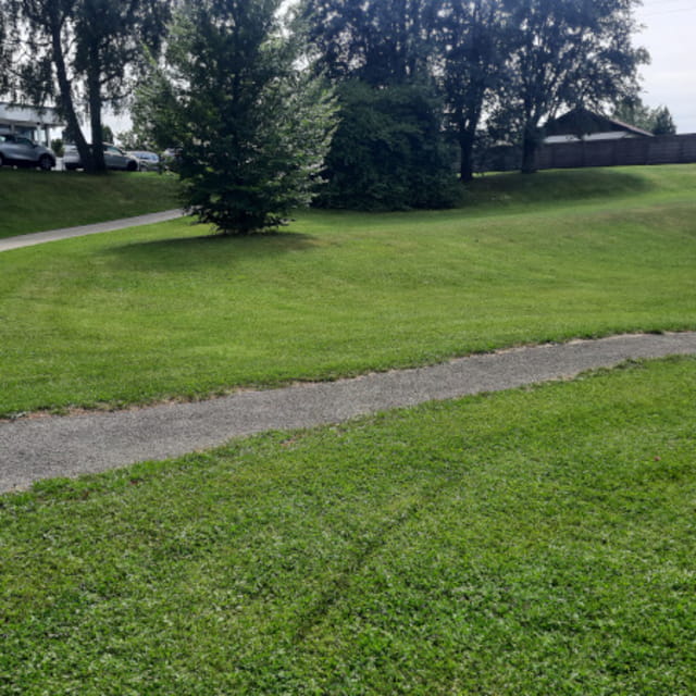 Foto von Spielplatz Schwanenstadt, Sparkassenpark