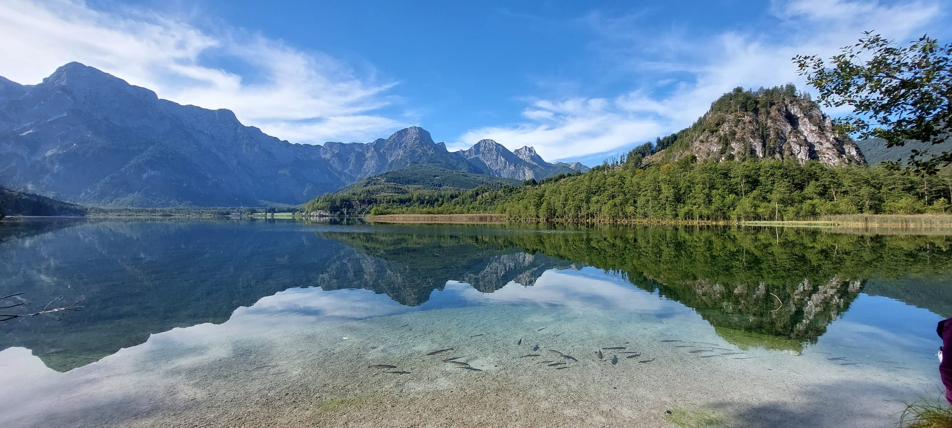 Traumhaft am Almsee-Rundweg