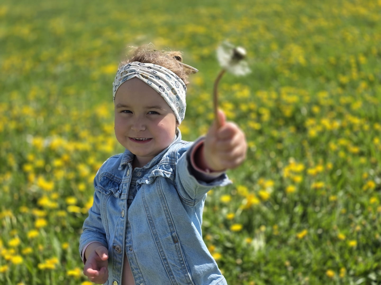 Ab auf die Blumenwiese!