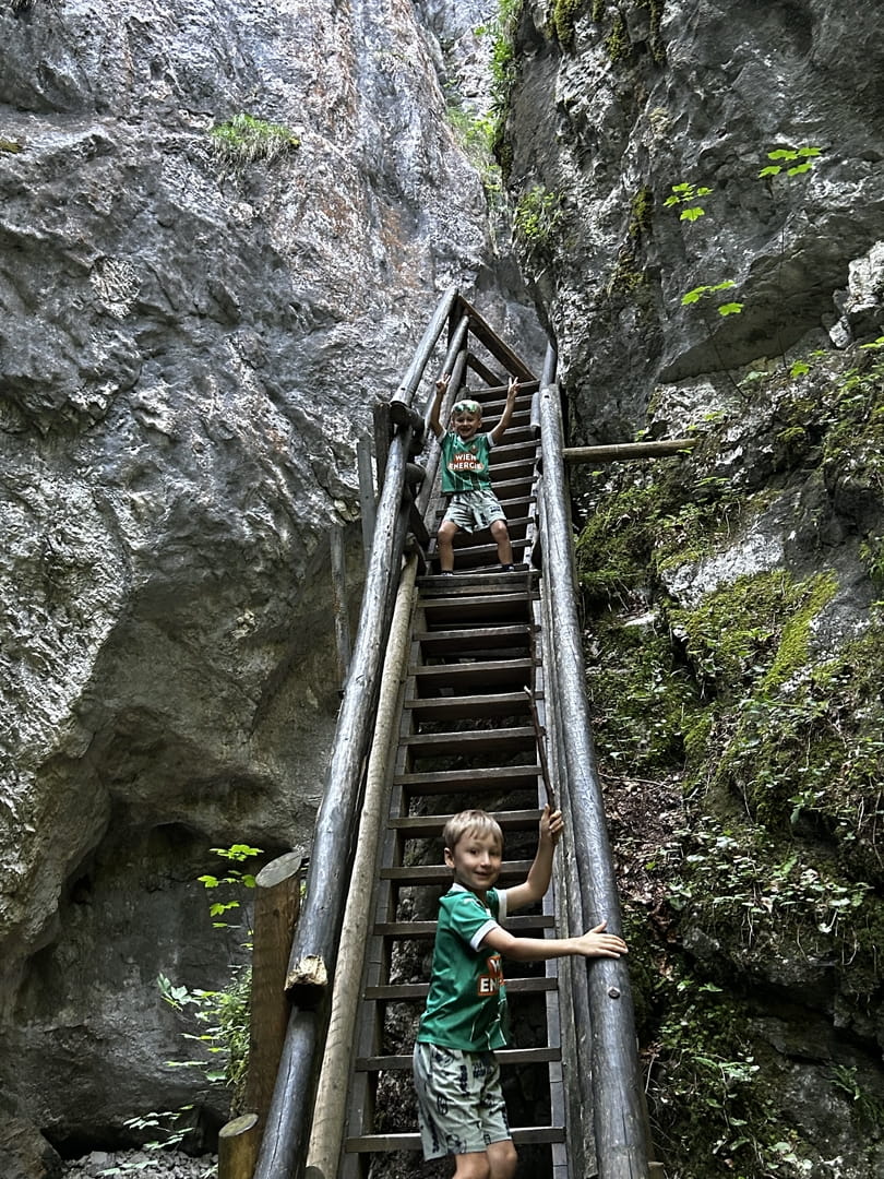 Dr. Vogelgesangklamm