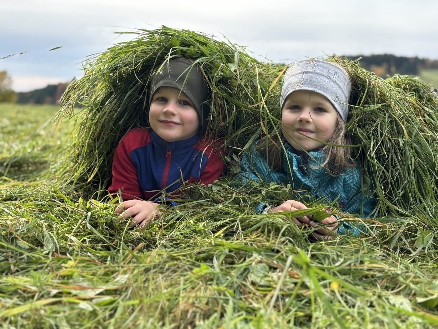 Gras statt Bildschirmglas