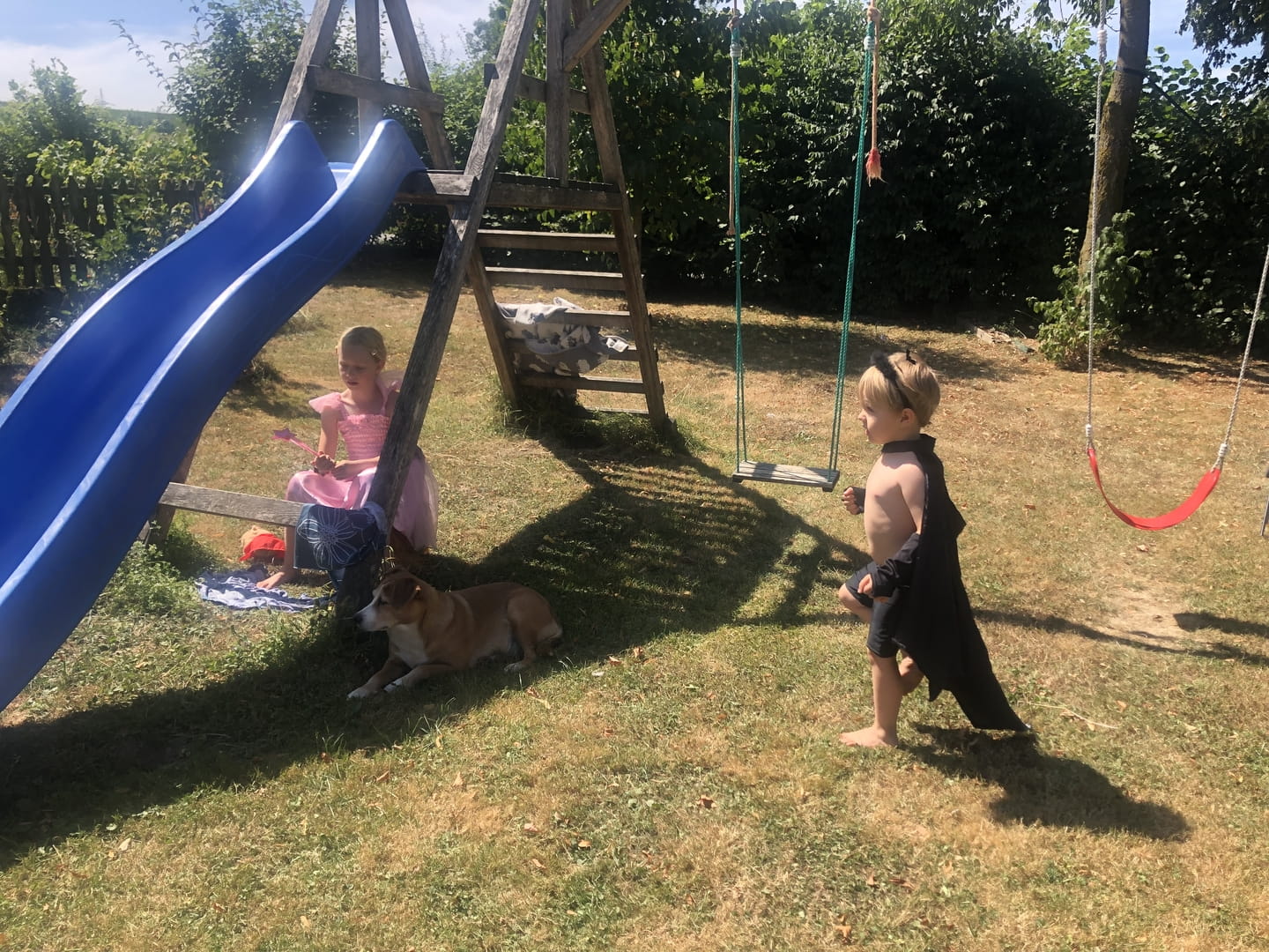 Fee, Fledermaus und Superhund im Garten