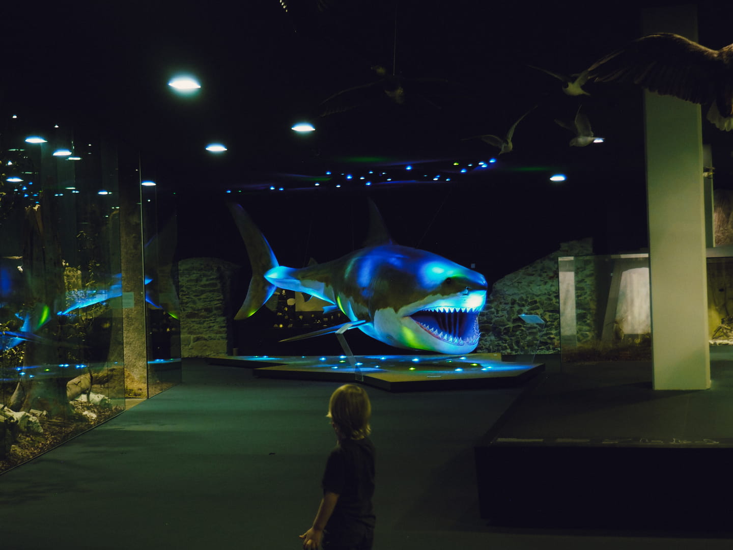 Kleine Fische, große Kinder