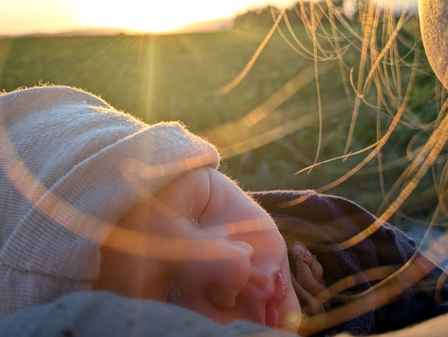 Die erste Sonnenfinsternis