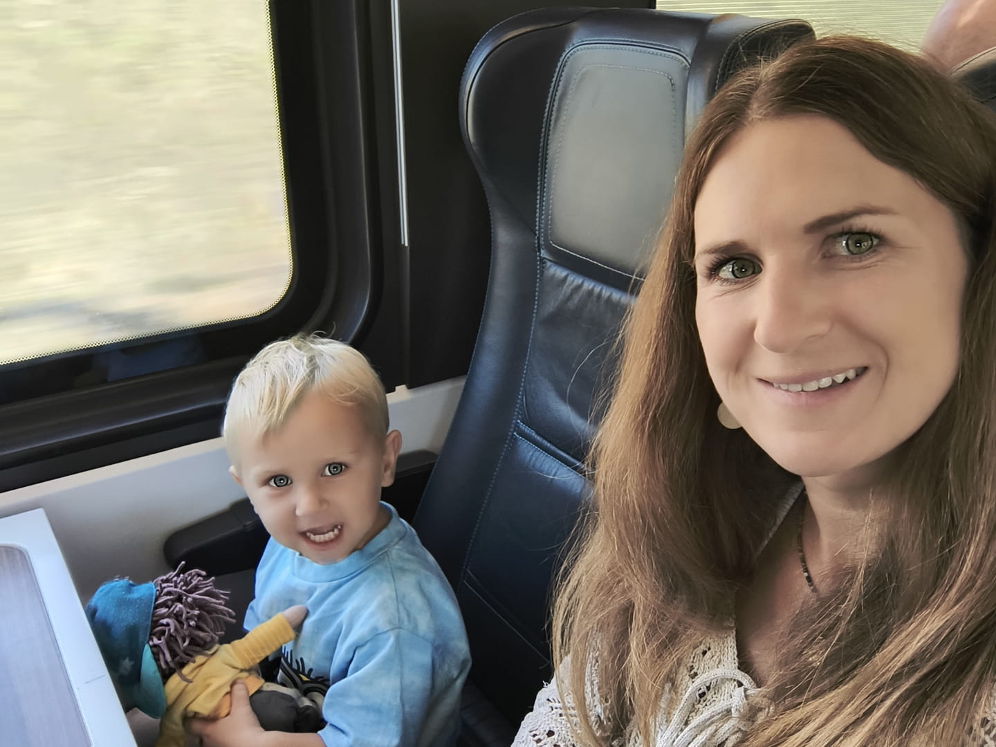 Auf dem Weg nach Wien 