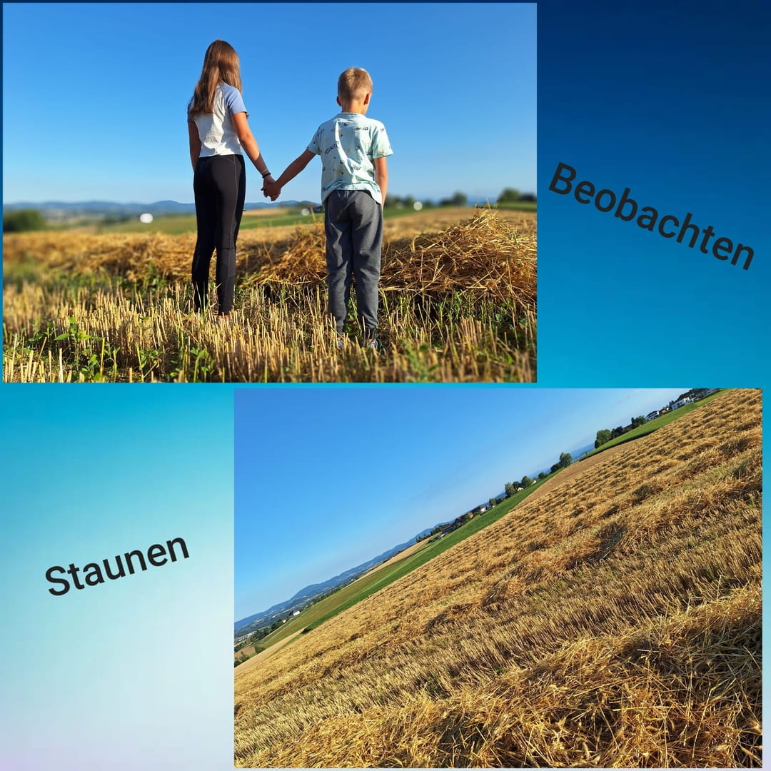 Beobachten und Staunen 