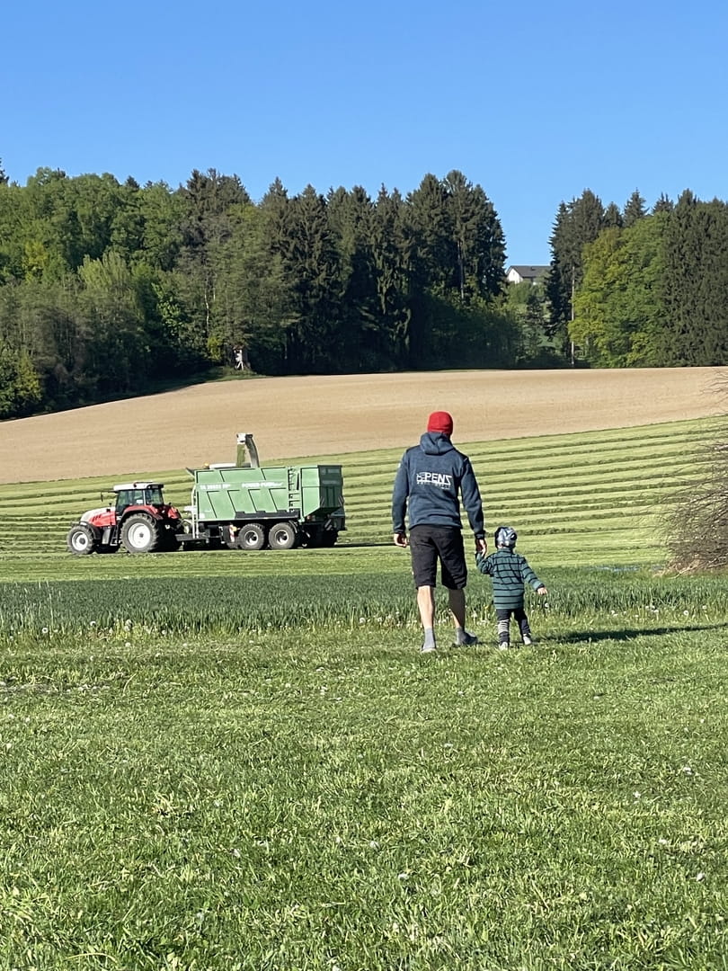 Sommer in der Natur