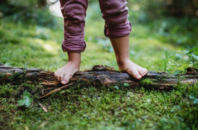 Foto zur Veranstaltung "Waldspielgruppe für Kinder von 2- 5 Jahren"