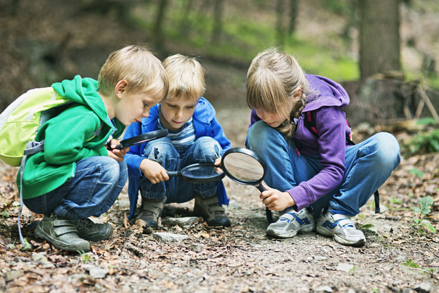 Waldspielgruppe (1,5–3 Jahre) – Naturnah spielen, bewegen und die Welt entdecken
