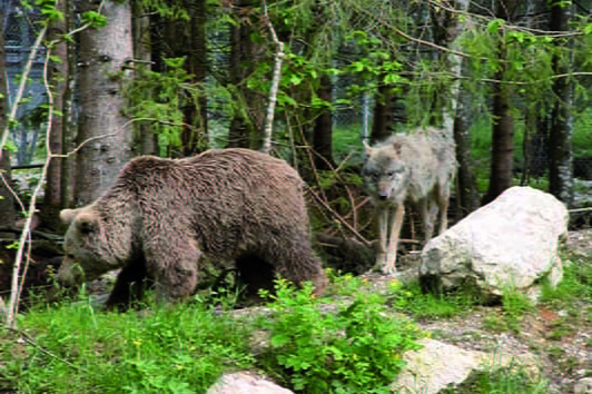 Wildpark Grünau - DAS NATURERLEBNIS