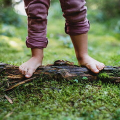 Waldspielgruppe für Kinder von 2- 5 Jahren 