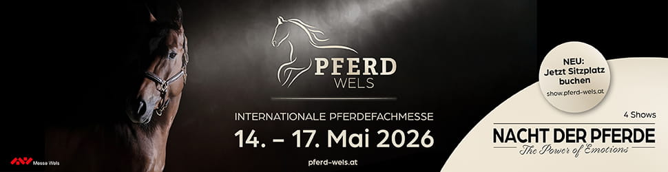 Pferd26_970x250px