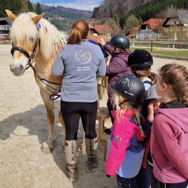 Kinderponykurs FR 14 Uhr - Reindlmühl
