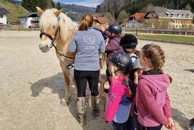 Kinder und eine Frau vor einem Pony