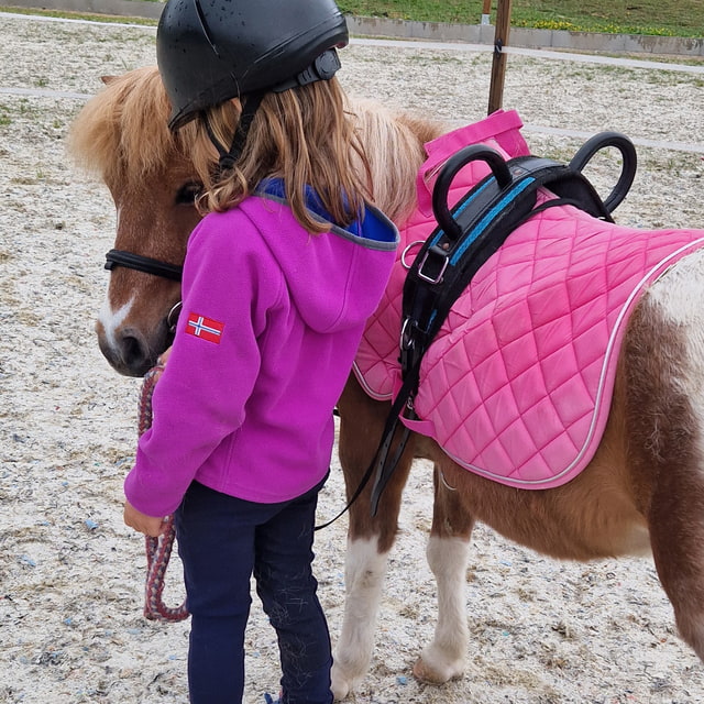 Ponyworkshop klein - Reindlmühl
