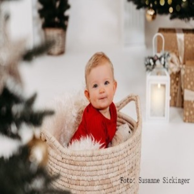 Weihnachts-Fotoshooting am Martinimarkt