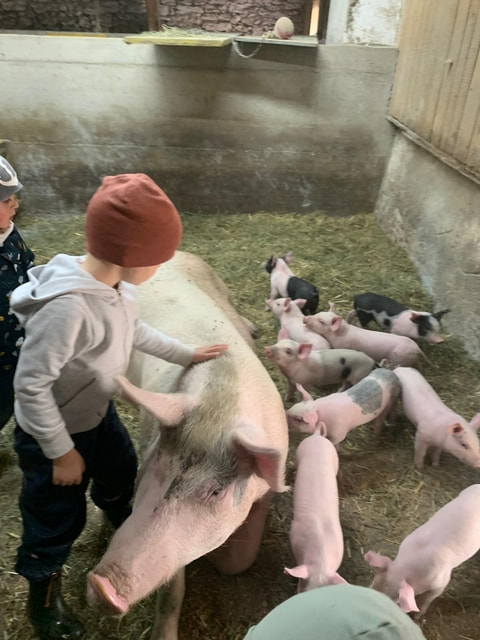 Foto zur Veranstaltung "Bauernhof-SPG für Kinder von ca. 3 - 5 Jahren"