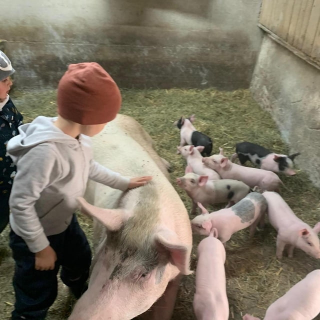Bauernhof-SPG für Kinder von ca. 3 - 5 Jahren