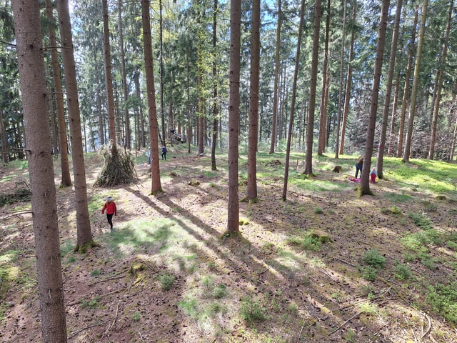 Foto zur Veranstaltung "Waldspielgruppe Herbst"