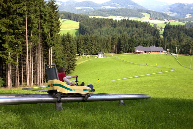 Foto zum Highlight Sommerrodeln im Herbst